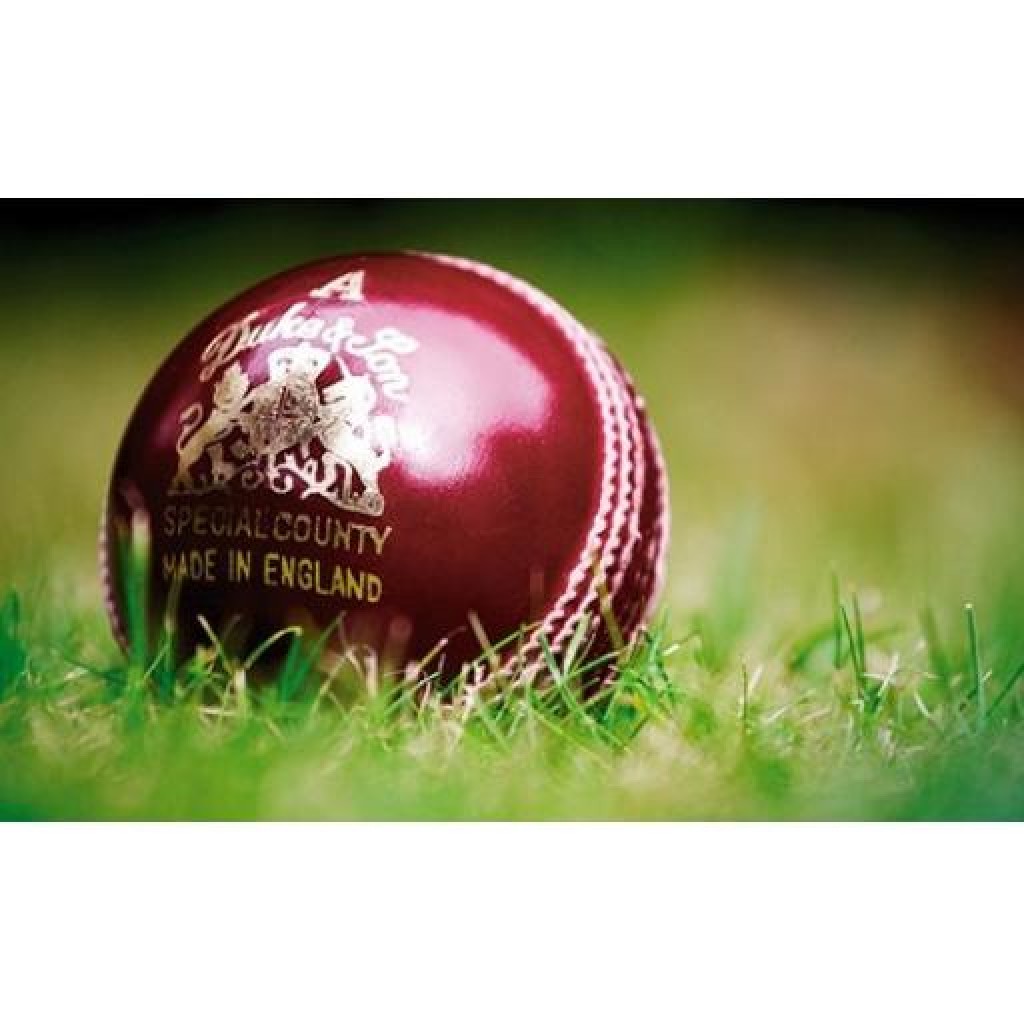 ECB Statement on suspension of all recreational cricket activity