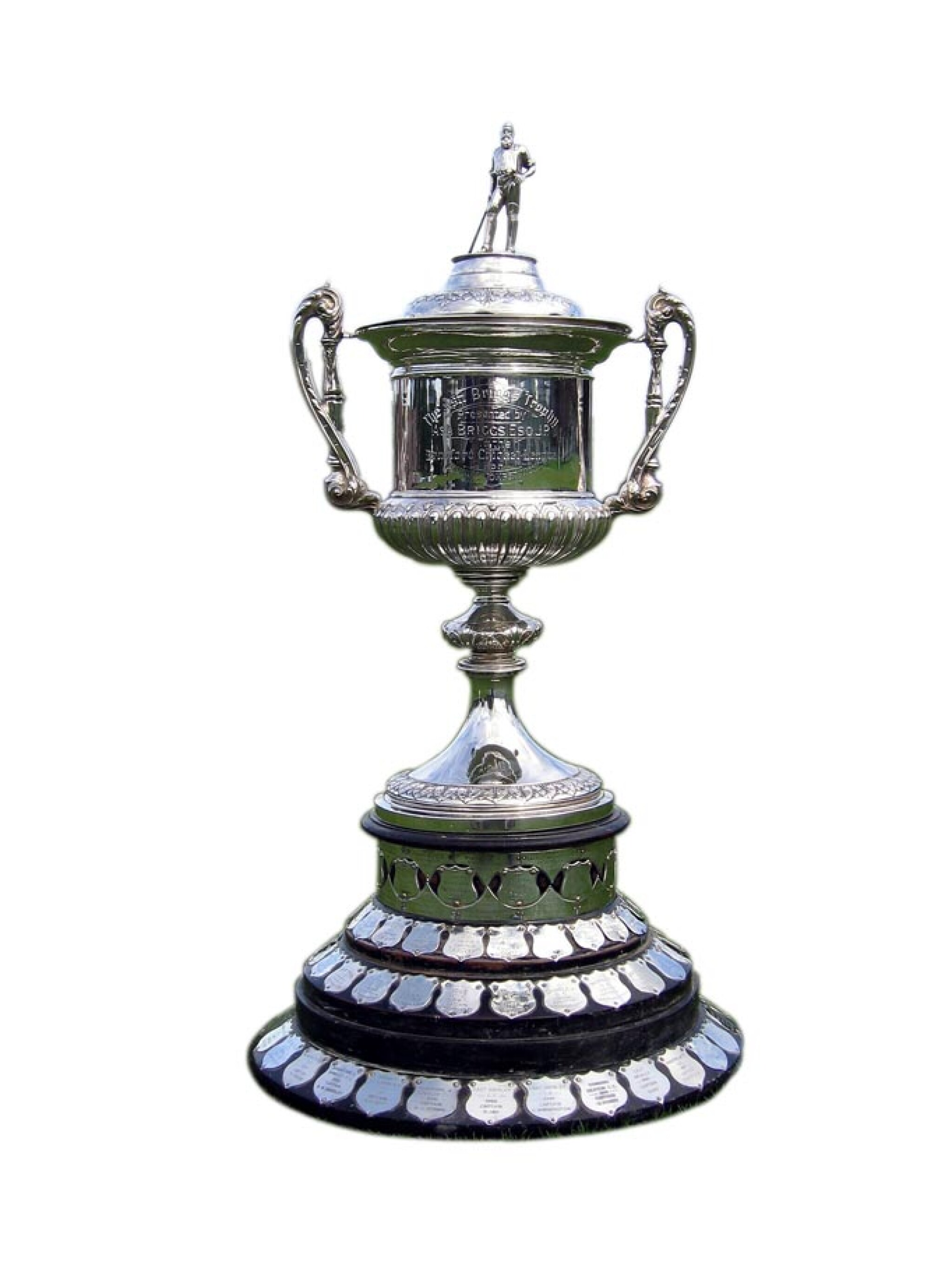 league trophy02 copyab.jpg